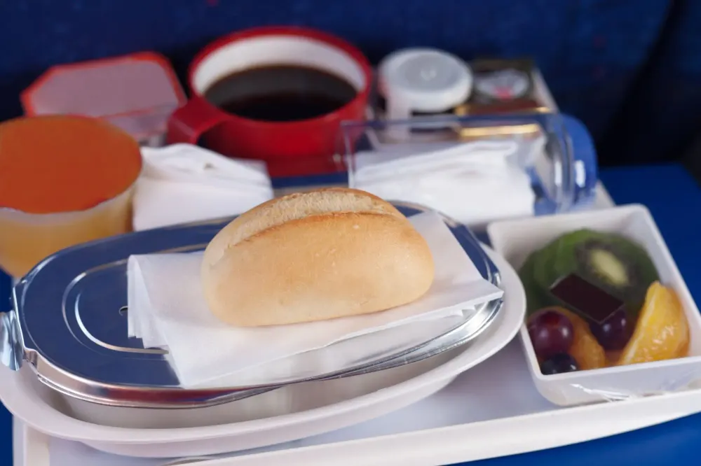 plane food